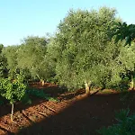 Vendégház Riggia 3*
