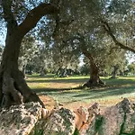 Riggia