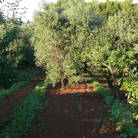 Riggia Affittacamere 3*