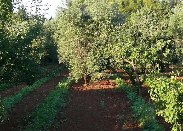 Riggia Pensjonat 3*