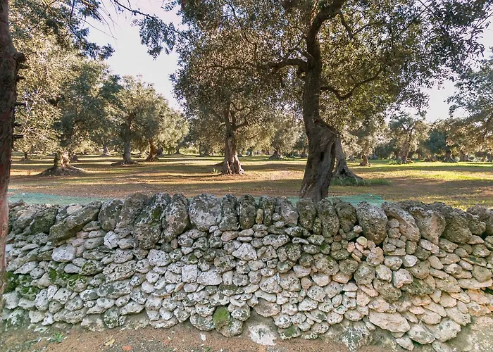 Riggia Pensjonat Nardò